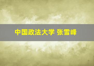 中国政法大学 张雪峰